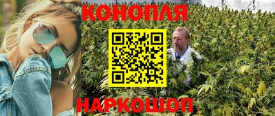 шишки Кунгур